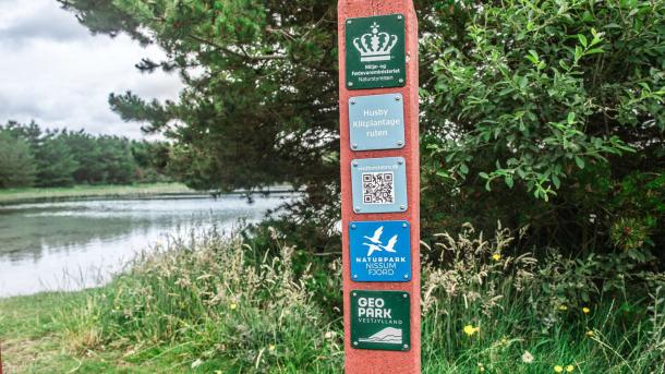 Nissum Fjord_Husby Klitplantage_Geoparken_vandreruter