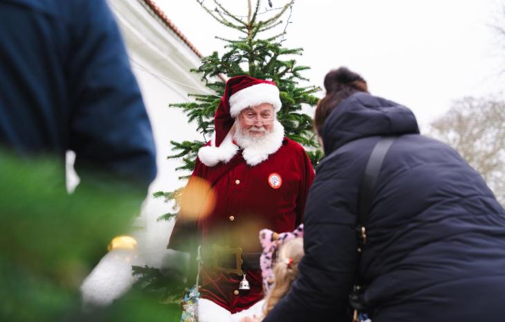 Julemand_jul på Bratskov